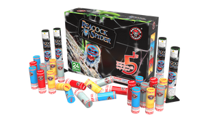 RA32408C 5" Peacock Spider