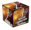RA54402C Willow Combustion 500 Gram 9 Shots Cake 