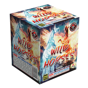 RA22002 Wild Horses 200 Gram 25 Shots Cake 